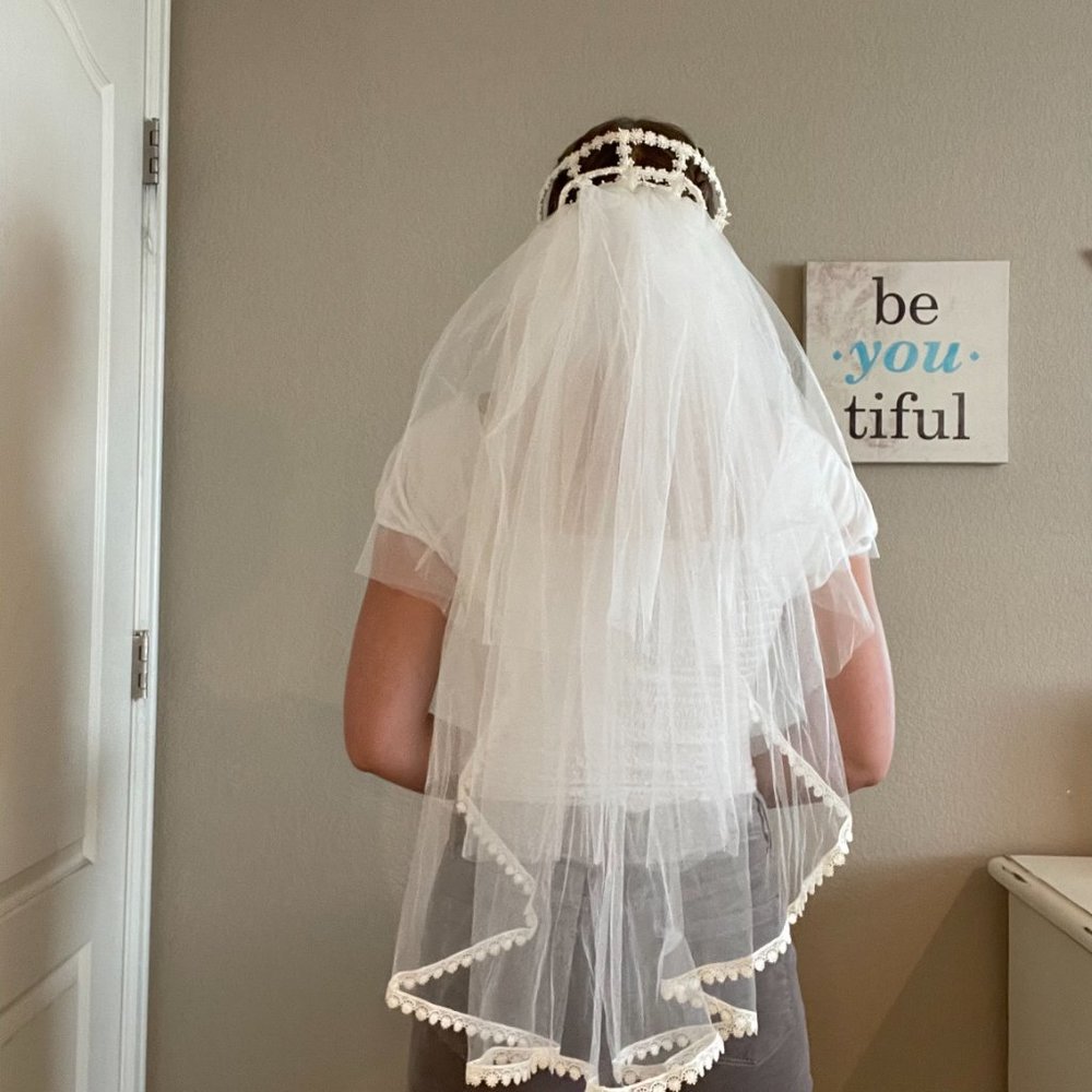 Vintage Lace Wedding Gown and Veil - Picture 6 of 15